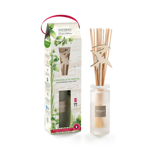 MIKADO BOUQUET ESTEBAN PARIS CITRONELA Y MENTA 100ML